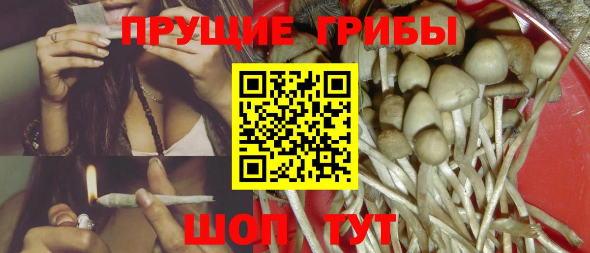Псилоцибиновые грибы мухоморы  Вход с VPN  Псилоцибиновые грибы мицелий  Вологда 